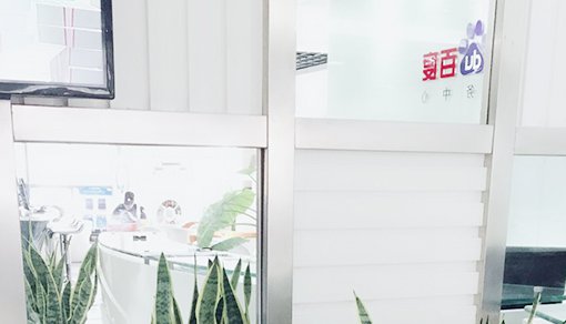 专项审计报告